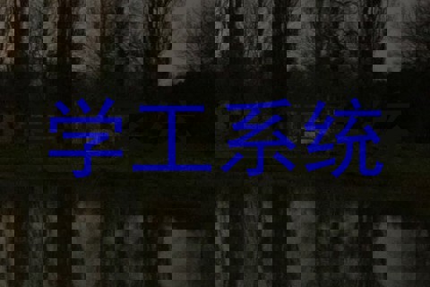 学工系统