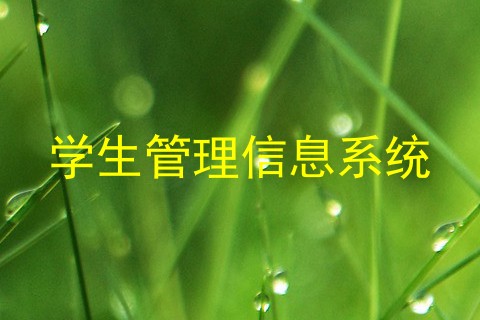 学生管理信息系统