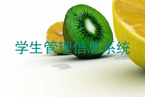 学生管理信息系统
