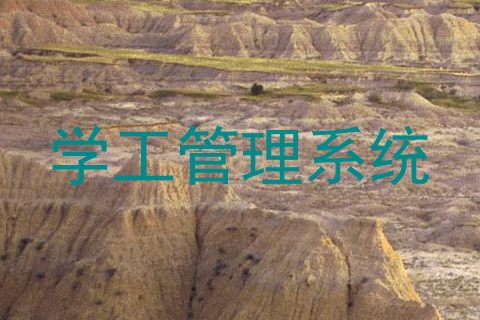 学工管理系统