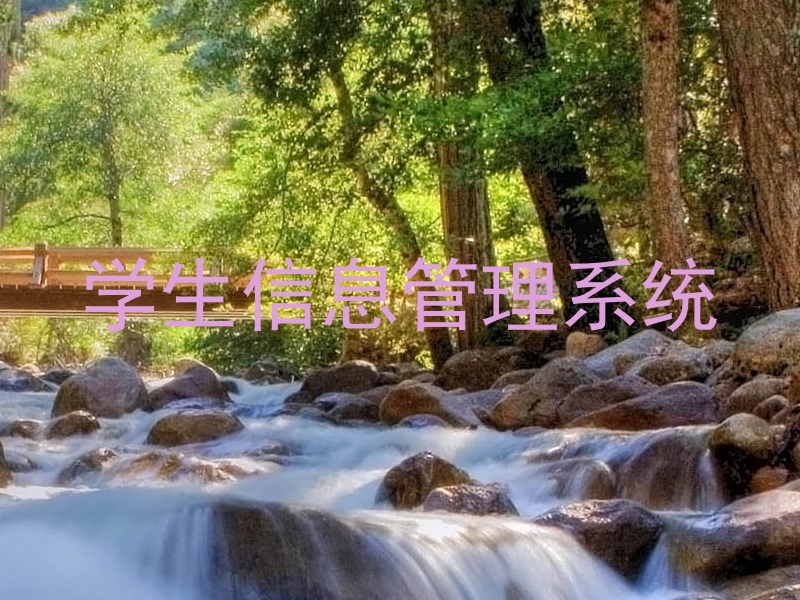 学生信息管理系统