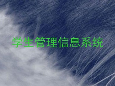 学生管理信息系统