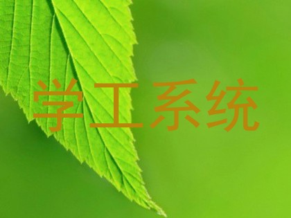 学工系统