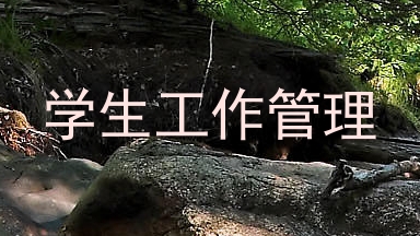 学生工作管理
