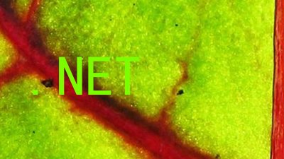 .NET