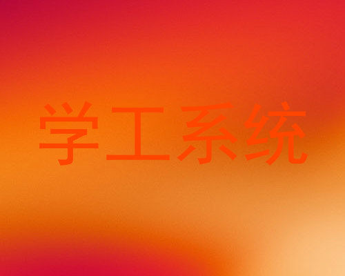 学工系统