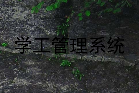 学工管理系统