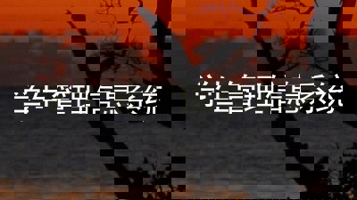 学生管理信息系统