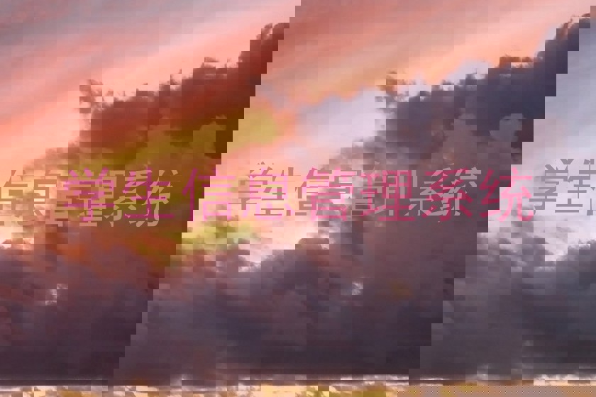 学生信息管理系统