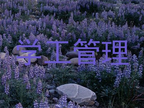 学工管理