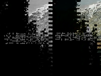 学生管理信息系统