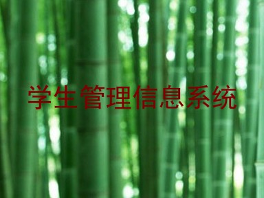 学生管理信息系统