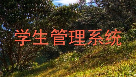 学生管理系统