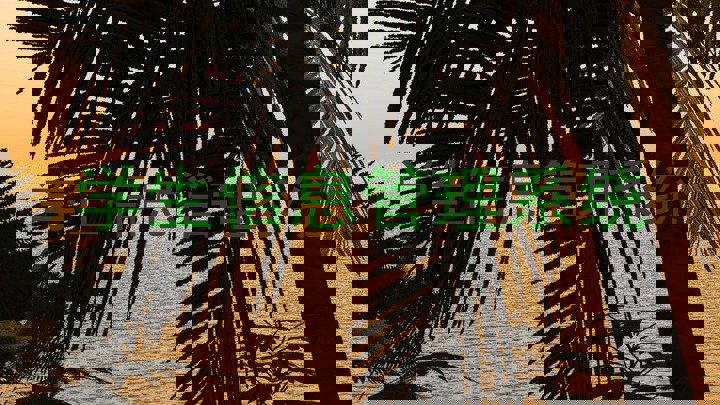 学生信息管理系统