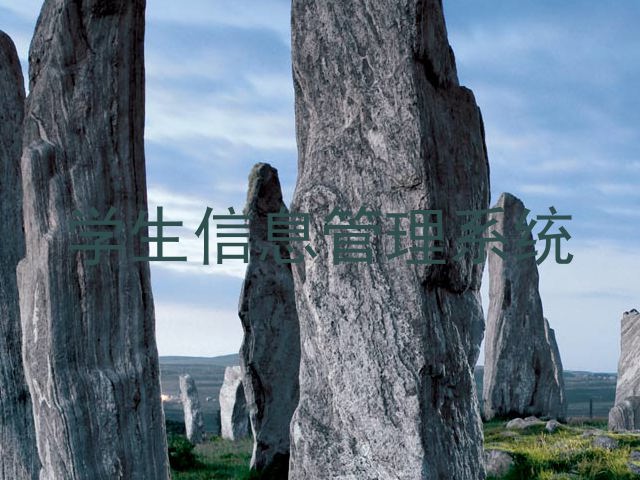 学生信息管理系统