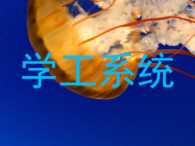 学工系统