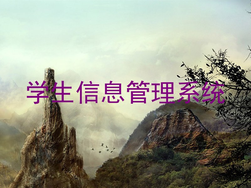 学生信息管理系统