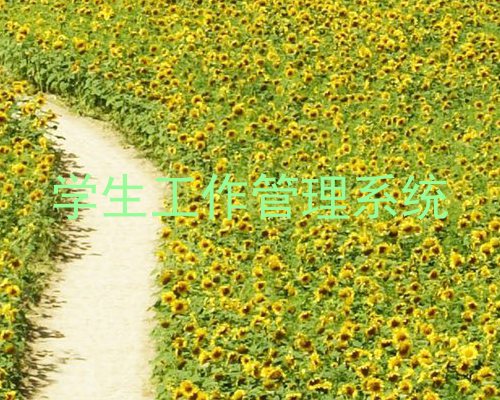 学生工作管理系统