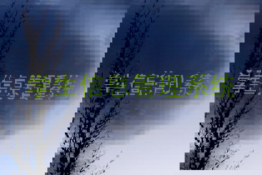 学生信息管理系统