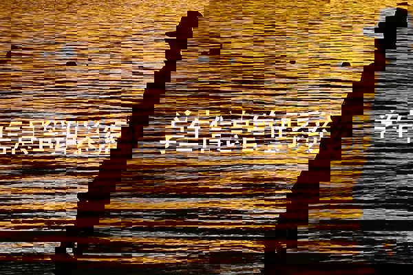 学生信息管理系统