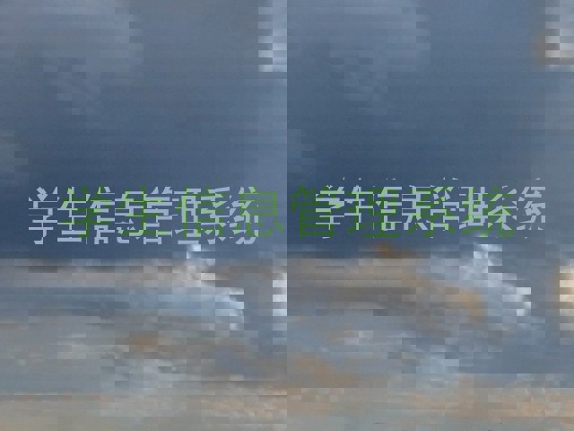 学生信息管理系统