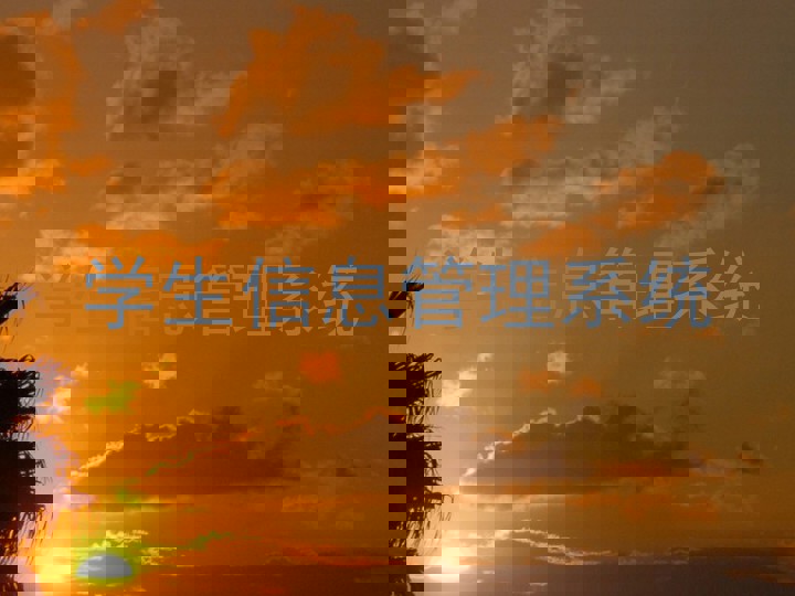 学生信息管理系统