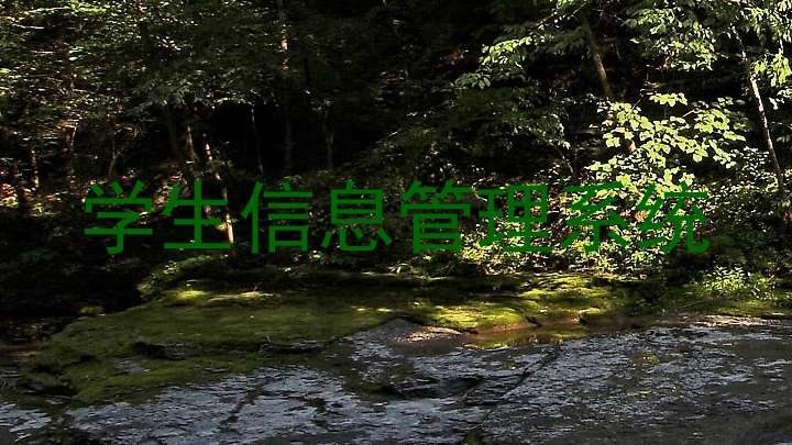 学生信息管理系统