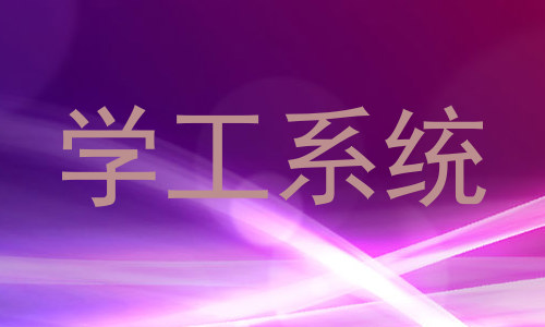 学工系统