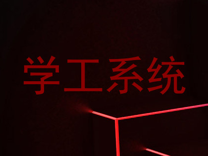 学工系统