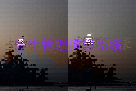 学生管理信息系统