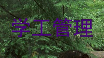 学工管理