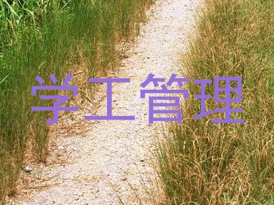 学工管理