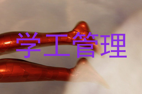 学工管理