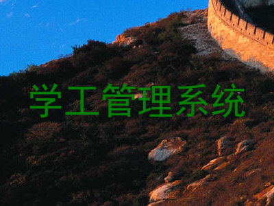 学工管理系统