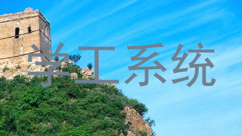 学工系统