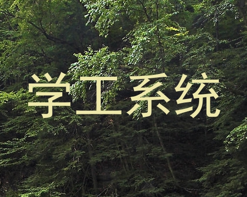 学工系统