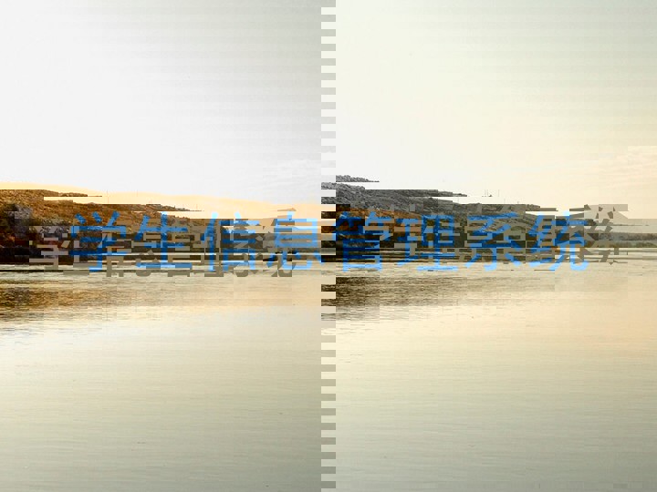 学生信息管理系统