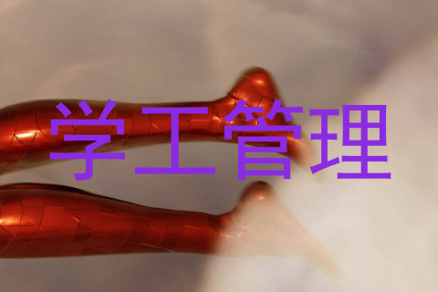 学工管理