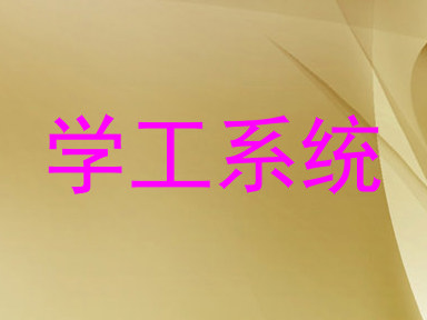 学工系统