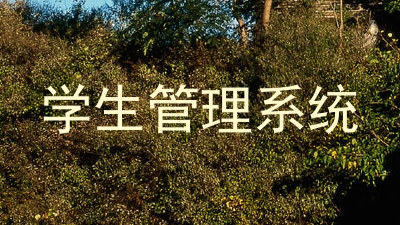 学生管理系统