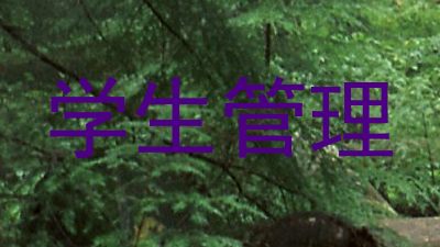 学生管理