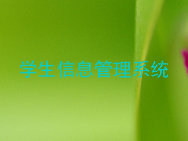 学生信息管理系统
