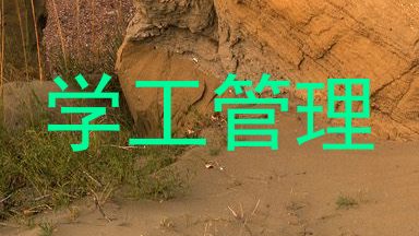 学工管理