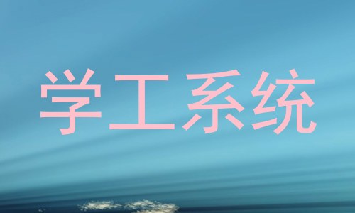 学工系统