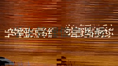 学生管理信息系统