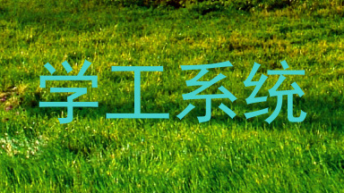 学工系统