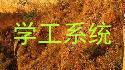 学工系统
