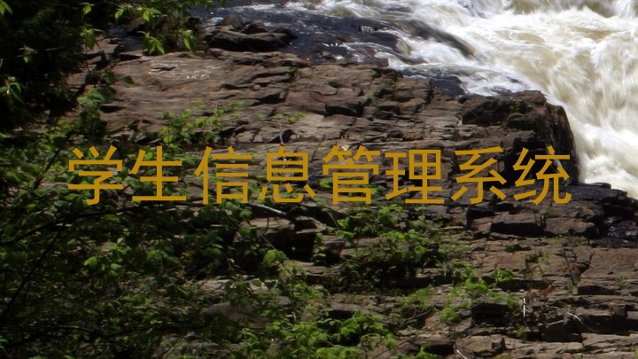 学生信息管理系统