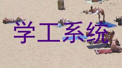 学工系统