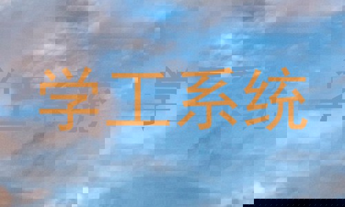 学工系统